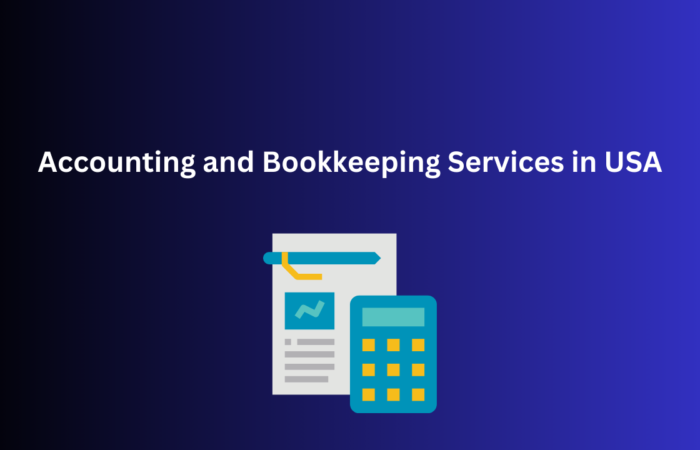 Accounting and Bookkeeping Services in USA